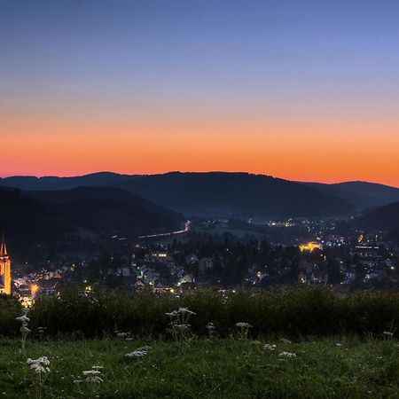 Drei Tannen - Wohnung 11 - Apartmenthaus, Titisee, Feldberg Bagian luar foto