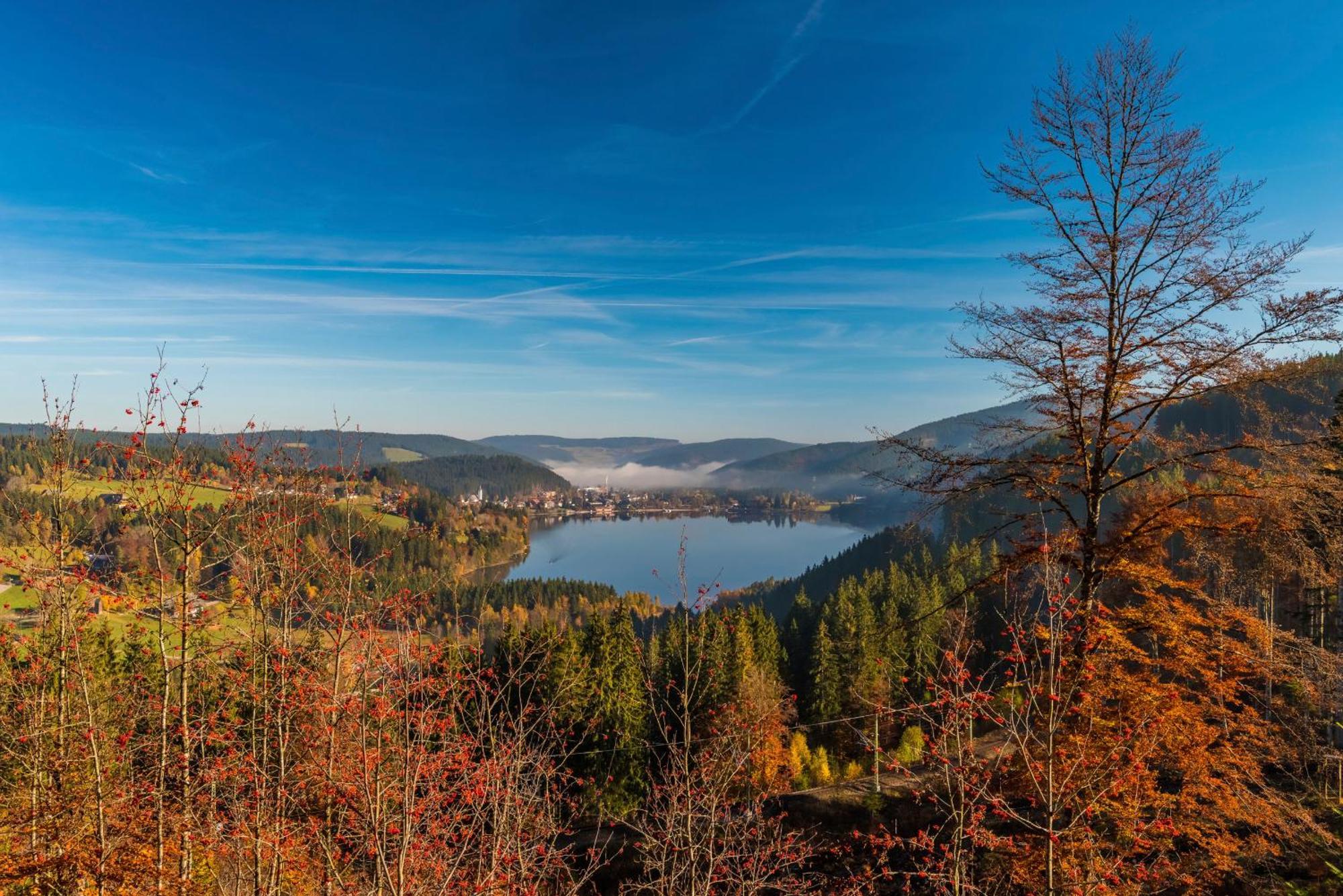 Drei Tannen - Wohnung 11 - Apartmenthaus, Titisee, Feldberg Bagian luar foto