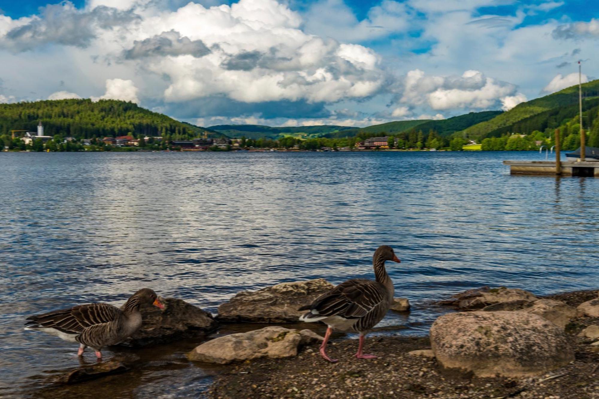 Drei Tannen - Wohnung 11 - Apartmenthaus, Titisee, Feldberg Bagian luar foto